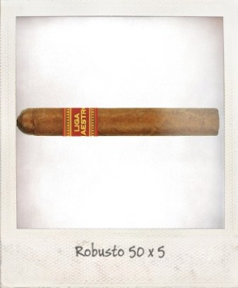 LM Robusto